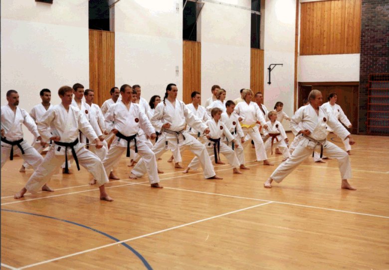 Gedan barai zenkutsu dachi.  Click image for more info.